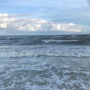 Meet your Posher, Sydney